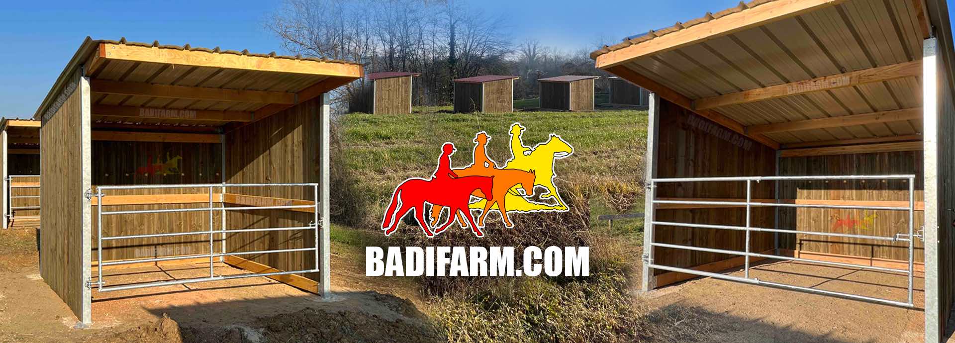 capannine paddock cavalli Badi Farm